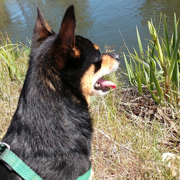 Meet your Posher, Jessica - Picture 7 of 7